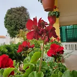 Mlinaric شقة
